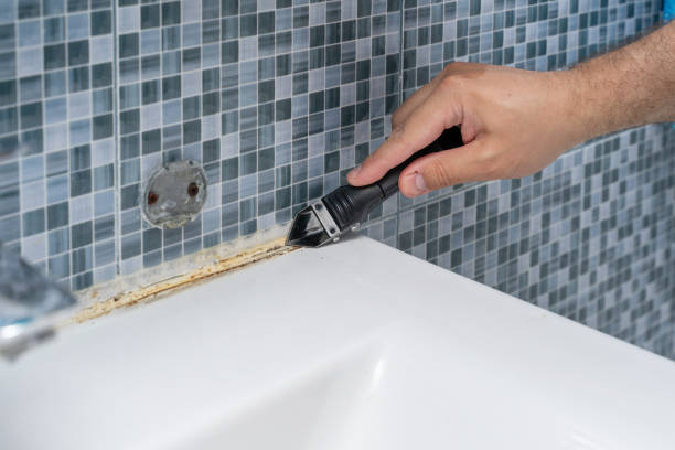 Best Toxic Mold Removal  in North Bonneville, WA
