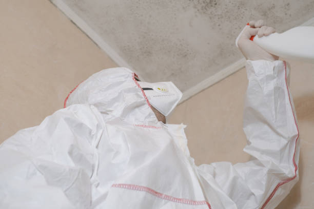 Best Commercial Mold Removal  in North Bonneville, WA