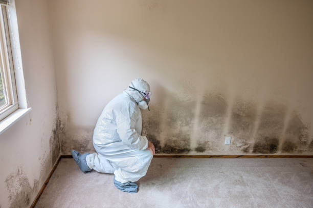 Best Mold Testing  in North Bonneville, WA